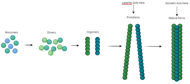 Figure 3 depicting how amyloid-beta plaque develops